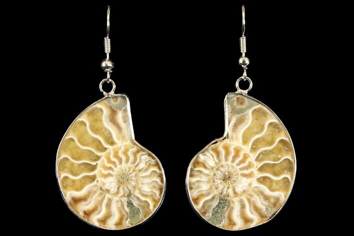Fossil Ammonite Earrings - Million Years Old #142851
